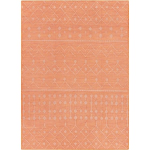 Orange - Outdoor Rugs - Rugs - The Home Depot