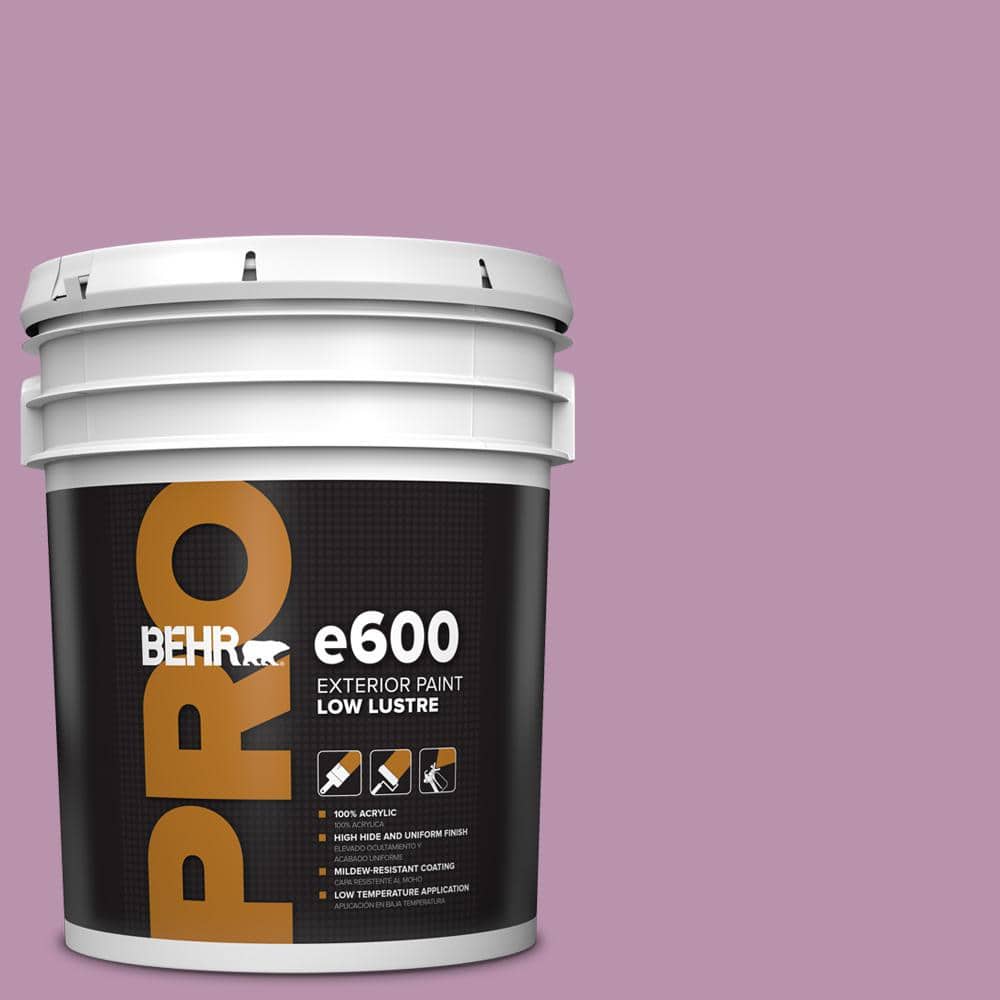 5 gal. #680D-5 Bed of Roses Low Luster Exterior Paint price history on PriceWatchPro