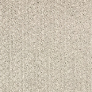 Bradlow   - Destiny - Beige 25 oz. Polyester Pattern Installed Carpet