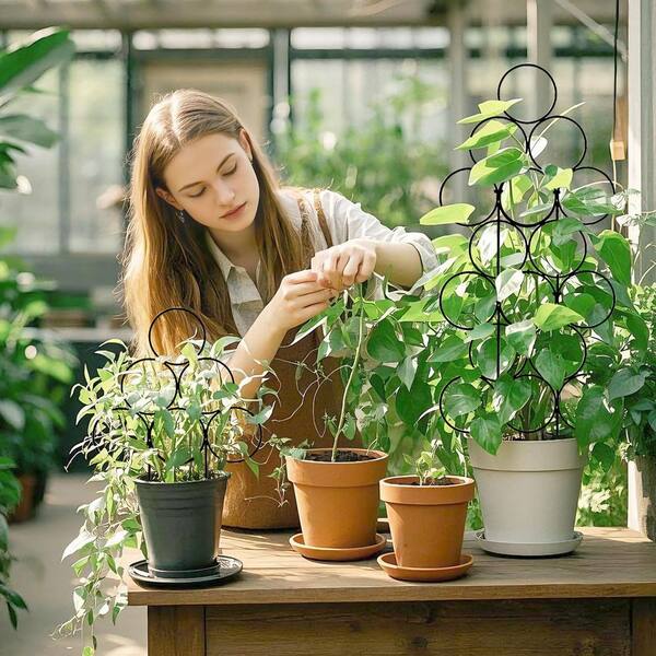 Hanging Trellis Single ハンギングトレリスシングル　庭手入 SenQWFa 14.2 Inch Metal Round Stackable Trellis for Climbing