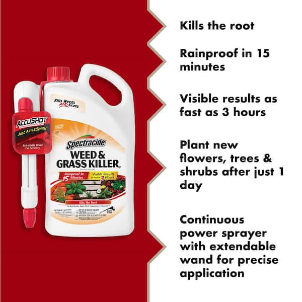 Spectracide Weed and Grass Killer 1 gal. AccuShot Sprayer HG