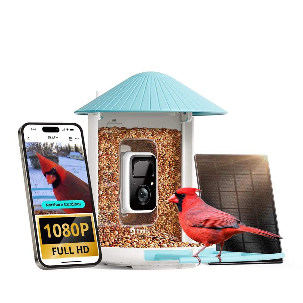 Birdfy Plastic AI Powered Smart Bird Platform Feeder with 1080P HD Camera, Solar Powered, 50 oz Feeder.
