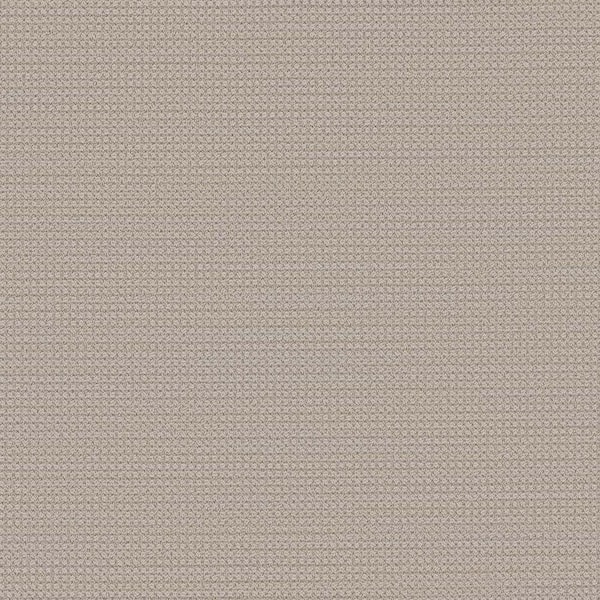 Lifeproof Thornbrook - Casual - Beige 45 oz. TwistX SD PET Loop Installed Carpet