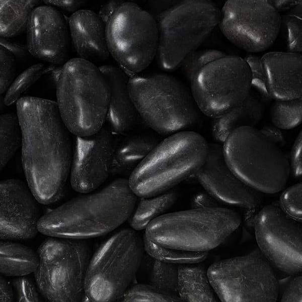 Rain Forest 0.5 in. to 1.5 in., 20 lb. Small Black Grade A