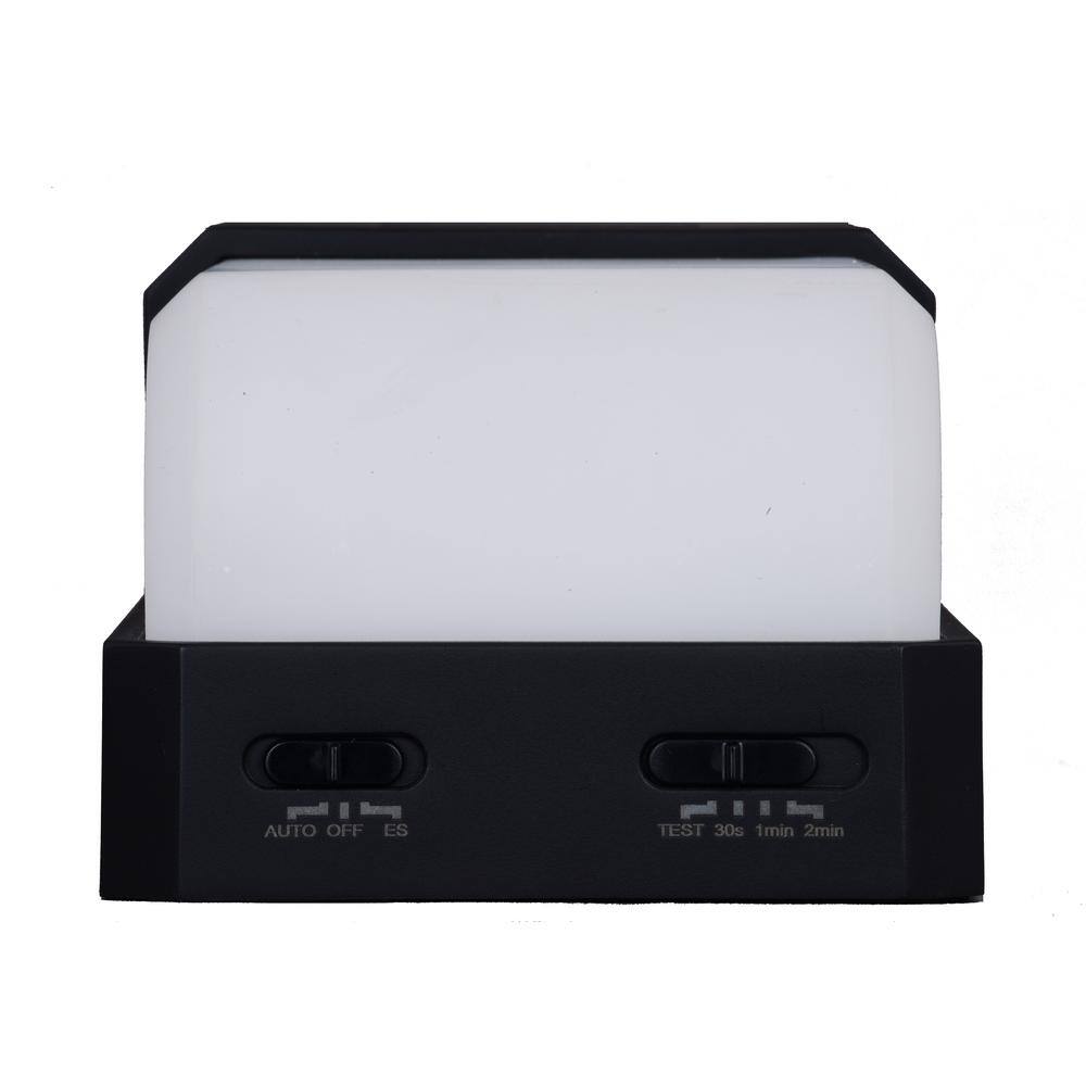 Black Solar LED Outdoor Wall Light with Motion Sensor and Frosted Shade