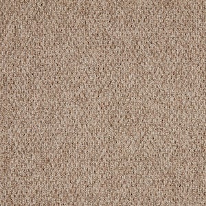 Lanwick  - Explorer - Brown 19 oz. Polyester Pattern Installed Carpet