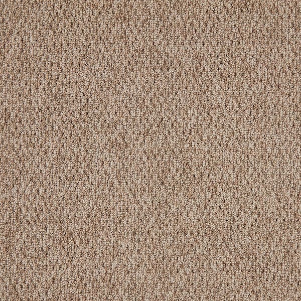 TrafficMaster Lanwick  - Explorer - Brown 19 oz. Polyester Pattern Installed Carpet