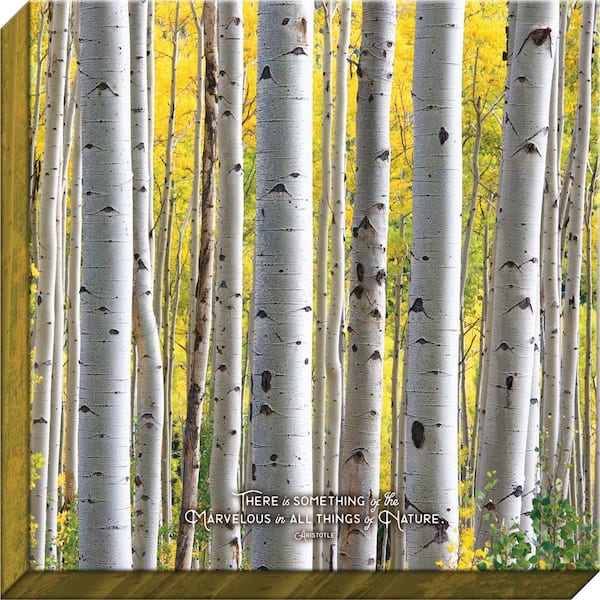 Unbranded Nature Made "Something of the Marvelous Birch" By Carpentree Canvas