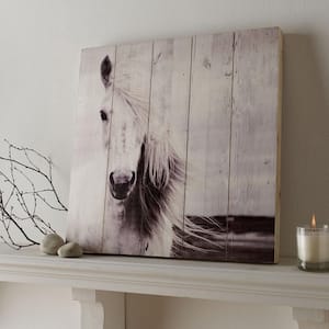 19.7 in. x 19.7 in. Horse by Graham and Brown Wooden Wall Art