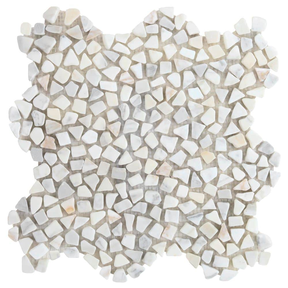 Countryside Calacatta Gold 6 in. x 0.35 in. Natural Marble Mosaic Floor and Wall Tile Sample price history on PriceWatchPro