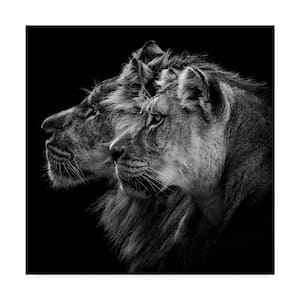 Lion And Lioness Portrait by Laurent Lothare Dambreville Floater Frame Animal Wall Art 18 in. x 18 in.