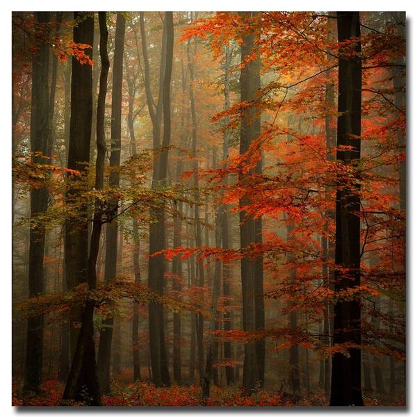 Trademark Fine Art 24 in. x 24 in. Fall Canvas Art-DISCONTINUED