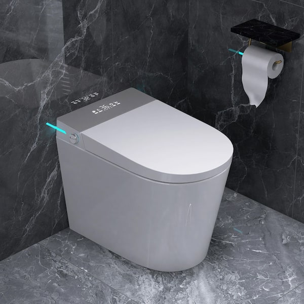 Yingze Round Bidet Toilet 1.28GPF in White w/Gray Panel w/23 in