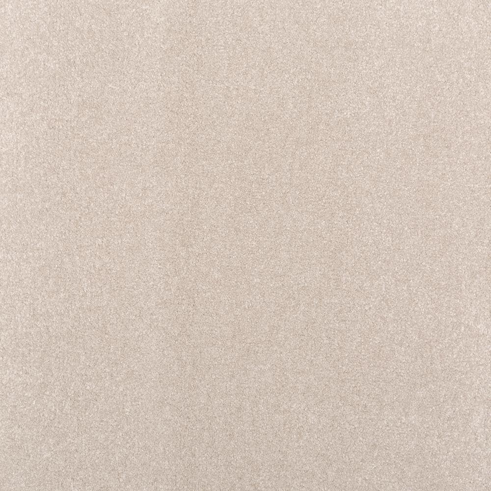 8 in. x 8 in. Texture Carpet Sample - Waking Up II - Color Cozy price history on PriceWatchPro