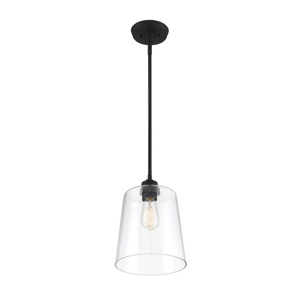 Templeton Matte Black Pendant Light with Clear Glass Shade