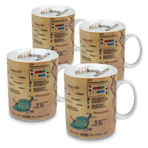 Konitz 4-Piece Mug of Knowledge Biology Porcelain Mug Set
