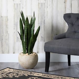 32 in. Sand Colored Sansevieria Artificial Plant Planter