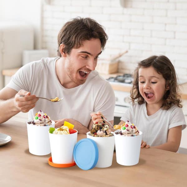 Set of 4 Ice Cream Containers for Homemade, Reusable Storage with