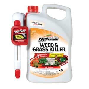 1.3 gal. Weed and Grass Killer Ready-To-Use AccuShot Sprayer