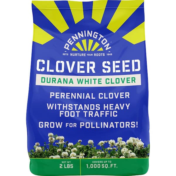 Pennington White Clover Legume Seed 2 lbs.