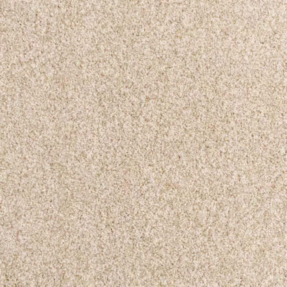 8 in. x 8 in. Texture Carpet Sample-Heartfelt Fashion-Color Warm Glow price history on PriceWatchPro