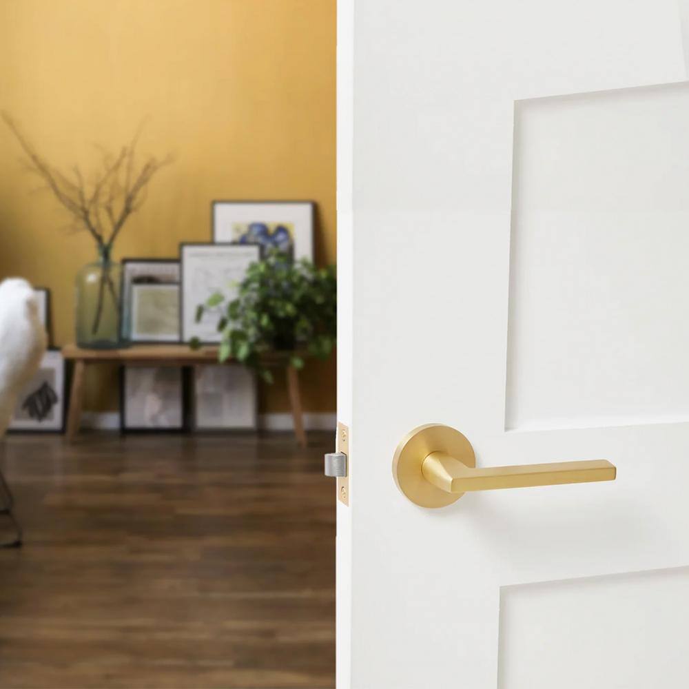 Matte Black Solid Brass Contemporary Door Handle with Round Backplate
