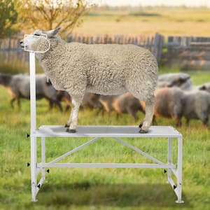 64.1 in. x 51 in. Stationary Goat & Sheep Stand 500 lbs Loading Weight White 21 to 33in. Adjustable Height Grinder Stand