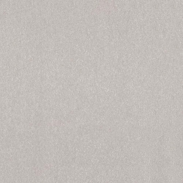 Home Decorators Collection House Party II - Calm - Beige 51.5 oz. Polyester Texture Installed Carpet