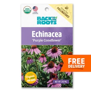Organic Purple Coneflower Echinacea Seed (1-Pack)