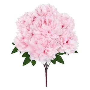 ✳︎peony✳︎ ZHEMCHUZHNAYA ROSSIP' (translate Pearl placer) – Alex Flowers