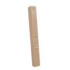 6 in. x 6 in. x 60 in. In-Ground Post Decay Protection (Case of 6-pieces)