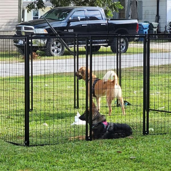 Cat Containment Fence System for Outside, Cat (& Pet) Yard Pen