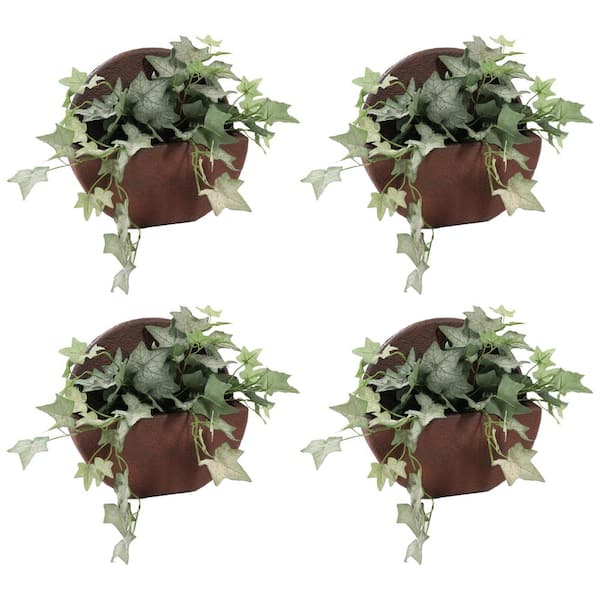 12 in. Dia Dark Brown Resin Wall-Mounted Indoor/Outdoor Planter (4-Pack)