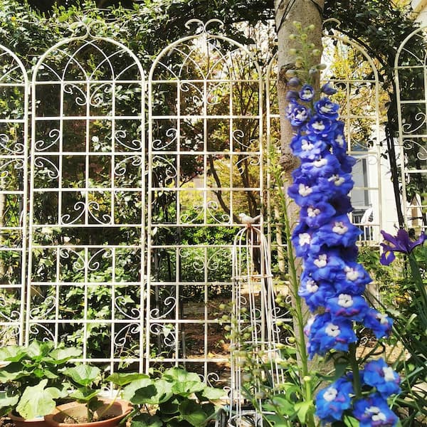 ToolCat 2-Pack 86.7 in. x 19.7 in. Metal Garden Trellis Outdoor Rustproof Flower Support for Climbing Plants, Cream White