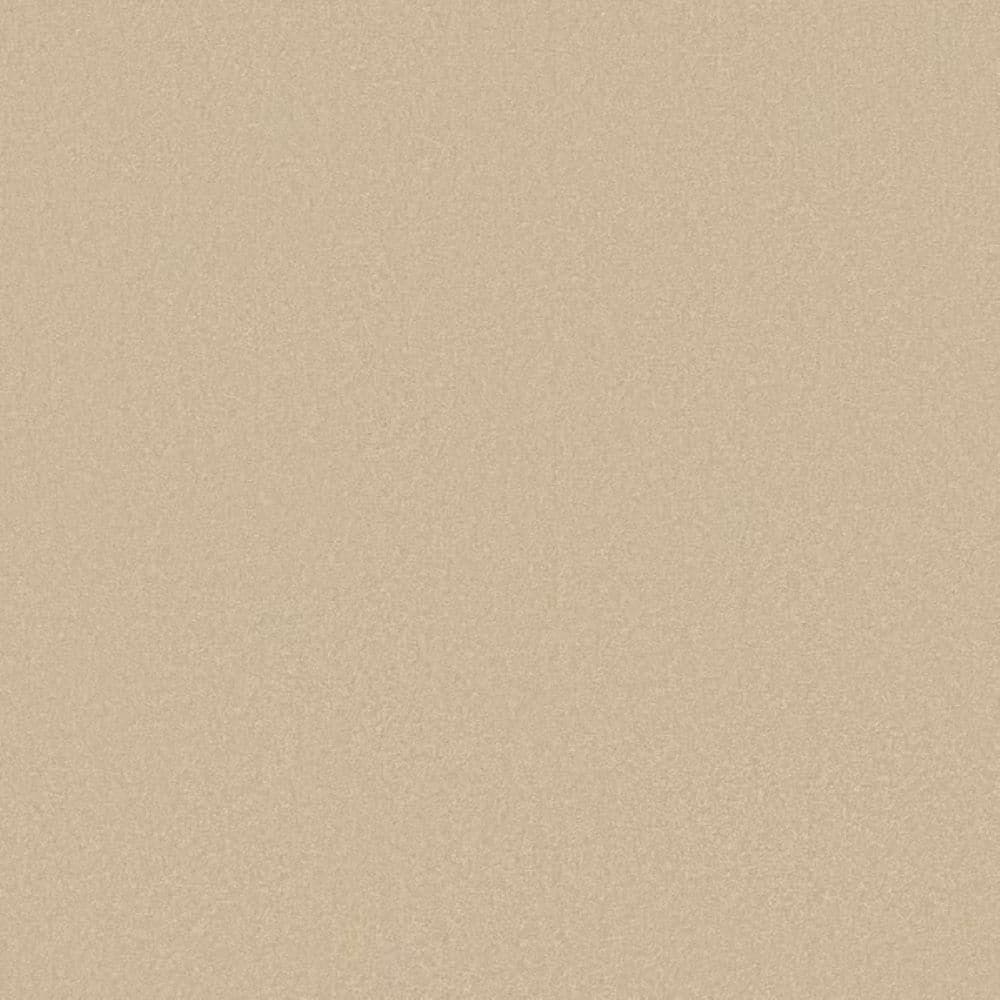8 in. x 8 in. Texture Carpet Sample-Park Royal II-Color Sugar Cane price history on PriceWatchPro