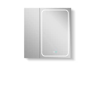 Baily 29.5 in. W x 29.5 in. H Medium Rectangular Silver Aluminum Surface Mount Medicine Cabinet with Mirror Left Right