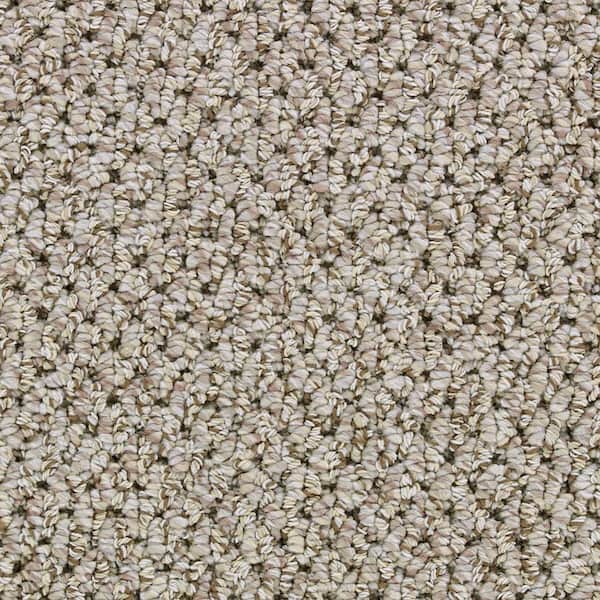 Beaulieu Carpet Sample - Devon - In Color Fathom 8 in. x 8 in.