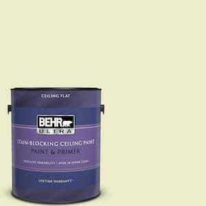 1 gal. #P360-2 Iced Green Apple Ceiling Flat Interior Paint and Primer