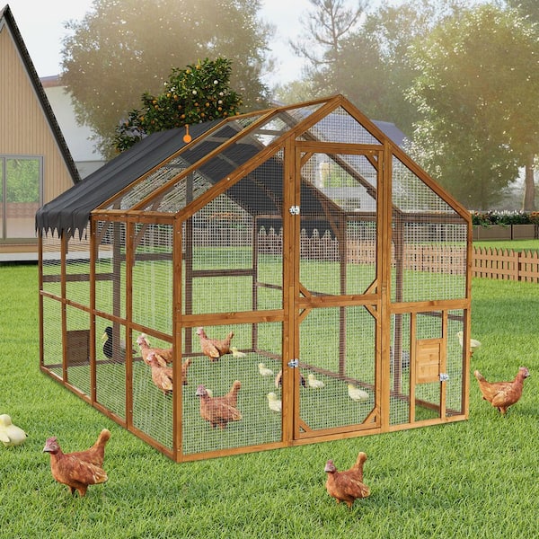 10 ft. W x 8 ft. D Outdoor Wooden Chicken Coop with Metal Fence, Upgrade Waterproof Cover, Brown