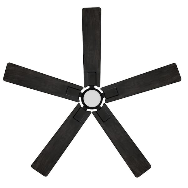 Hampton Bay - Zandra II 52 in. Indoor/Outdoor Matte Black Ceiling Fan with Light Kit and Remote Included Powered by Hubspace
