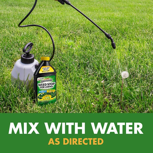 Spectracide 40 oz. Lawn Weed Killer Concentrate HG-96631