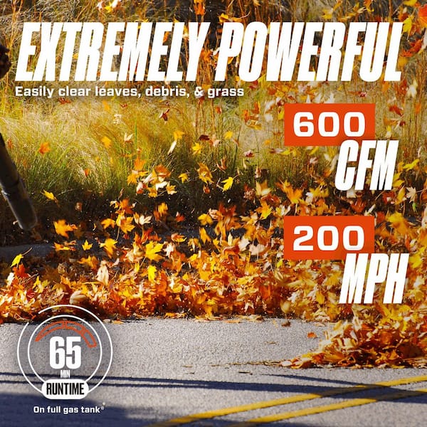 4QL 49cc 4-Cycle 200 MPH 600 CFM Gas Backpack Leaf Blower