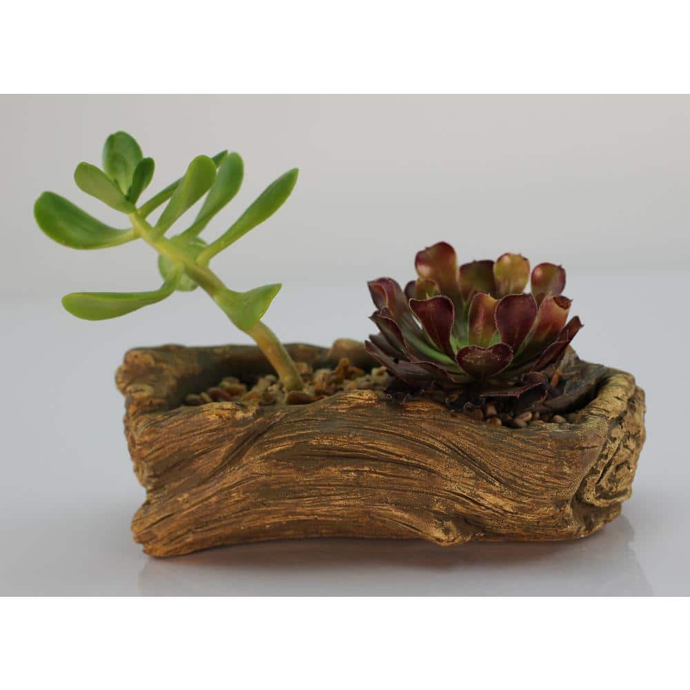 7.25 in. x 4.5 in. x 2.5 in. Driftwood Ceramic Wood Plant Pot - Unique Succ