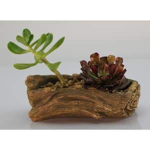 7.25 in. x 4.5 in. x 2.5 in. Driftwood Ceramic Wood Plant Pot - Unique Succulent Planter Whale Log