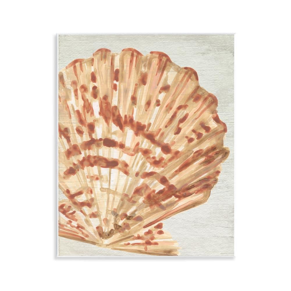 Tan and Beige Clam by June Erica Vess Unframed Coastal Graphic Art Print 14 in. x 11 in. price history on PriceWatchPro
