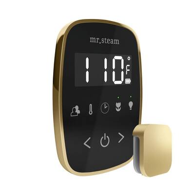 TempoFlex Steam Shower Control and Steamhead in Black Satin Brass