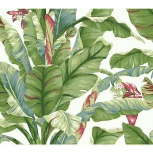 Banana Leaf White/Green Premium Peel and Stick Wallpaper Roll (Covers 45 sq. ft.)