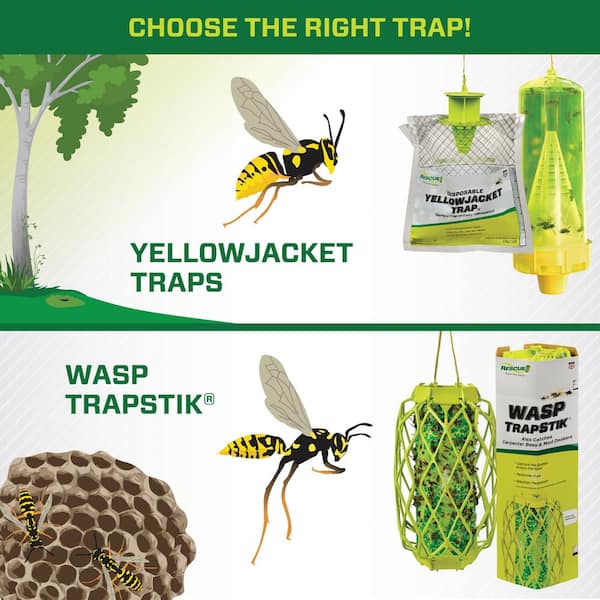 RESCUE Yellow Jacket Trap Attractant YJTA-DB12 - The Home Depot