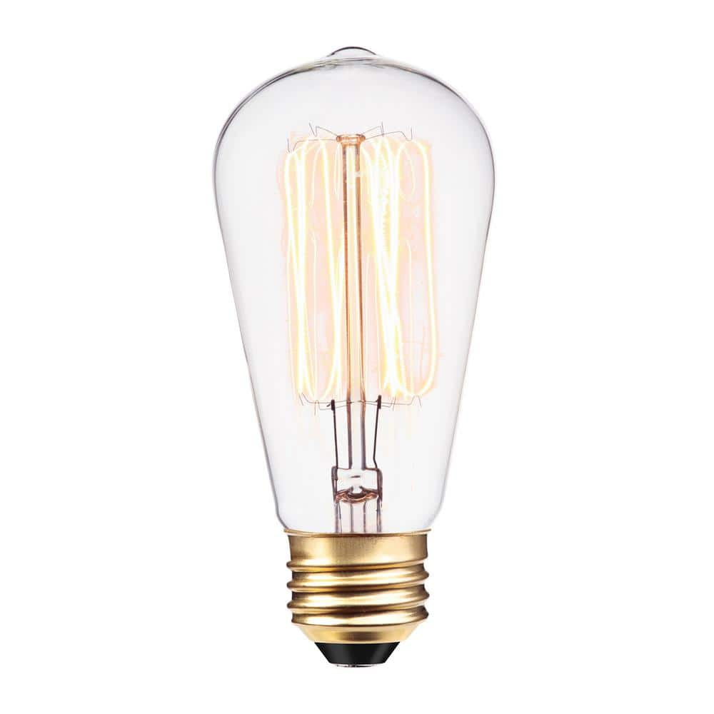 Globe Electric 60 Watt ST19 Dimmable Cage Filament Vintage Edison  Incandescent Light Bulb, Warm White Light 01321 The Home Depot