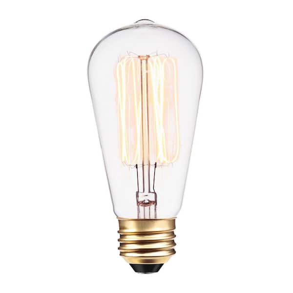 Globe Electric 60 Watt ST19 Dimmable Cage Filament Vintage Edison Incandescent Light Bulb, Warm White Light